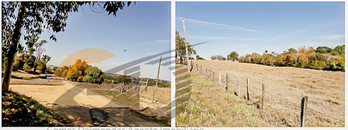 Imagem 14 de 14 de Tietê Sp Sítio 32.400 M² Docs. Ok. Ref. Sti-1
