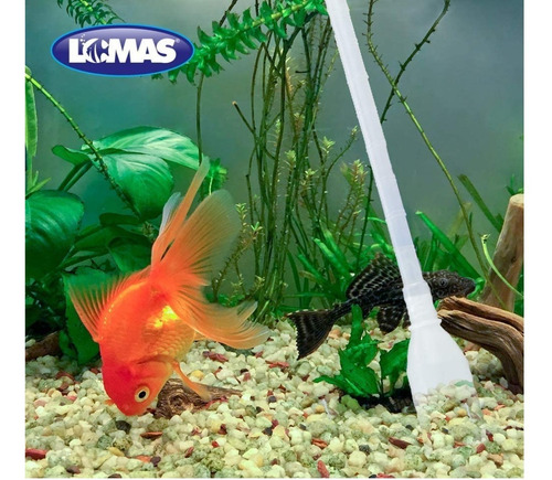 Imagen 4 de 5 de Sifon Con Bomba Para Peceras Acuario