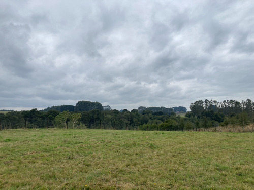 Parcela Con Vista Al Bosque | Quebrada Honda