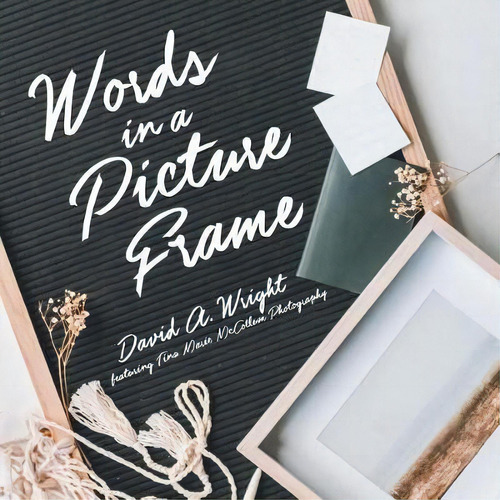Words In A Picture Frame, De David A Wright. Editorial Dips Publishing, Tapa Blanda En Inglés