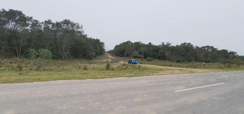 Campo En Venta Sobre Ruta En Formosa