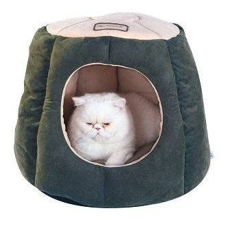 La Cama Del Gato Armarkat, Laurel Verde Y Beige