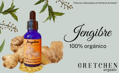 Extracto Triple De Jengibre Organico Ultra Concentrado