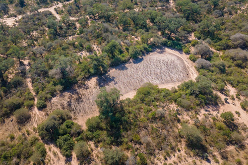 Retasado Oportunidad Campo Agrícola Ganadero 531 Ha_ Dis. Candelaria, Santiago Del Estero