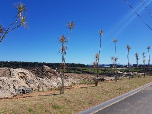 Imagem 3 de 17 de Terreno No Colegio Agricola Com 0 Quartos Para Venda, 240 M² - Ft1290