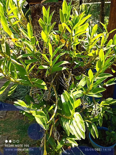 Imagem 14 de 29 de Chácaras À Venda Em Atibaia/sp - Compre O Seu Chácaras Aqui! - 1493988
