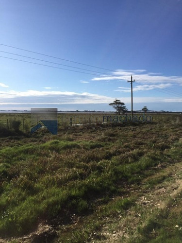 Campo En Venta - Ref: 1700