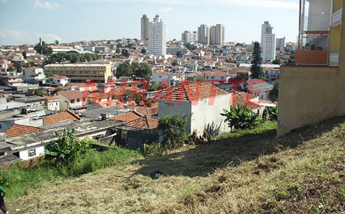 Imagem 1 de 8 de Terreno Em Tucuruvi - São Paulo, Sp - 85961
