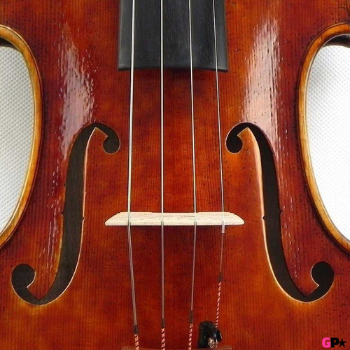 Puente De Violin De Arce Maple Adaptable 4/4 A 1/32 Cremona