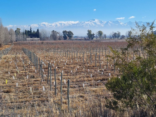 Imagen 4 de 20 de 41 Ha Ruta 15 (zona Bodegas)
