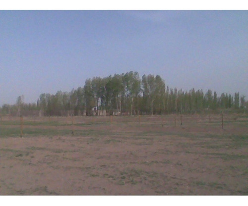 Imagen 14 de 15 de Terreno En Malargue Mendoza!