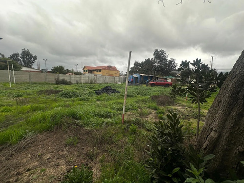 Sitio 1452 Mt2 Con Casa Detras Antiguo Hospital