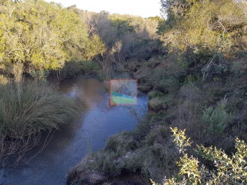 Imagen 4 de 14 de Campo 31 Hás Garzón Bajo