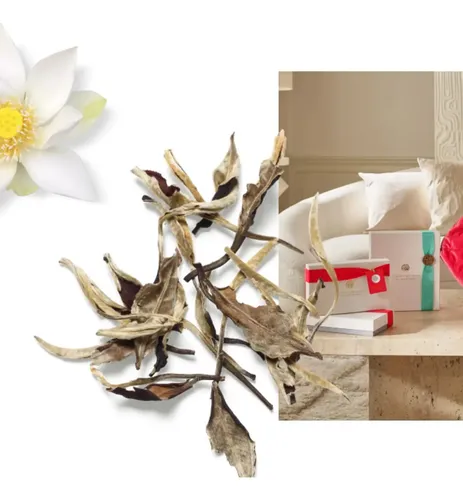 Rituals Set De Presente The Ritual Of Karma Com 4 Itens | MercadoLivre