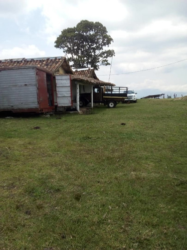 Imagen 16 de 20 de Finca En Casa Via El Padre De 45 Hectáreas