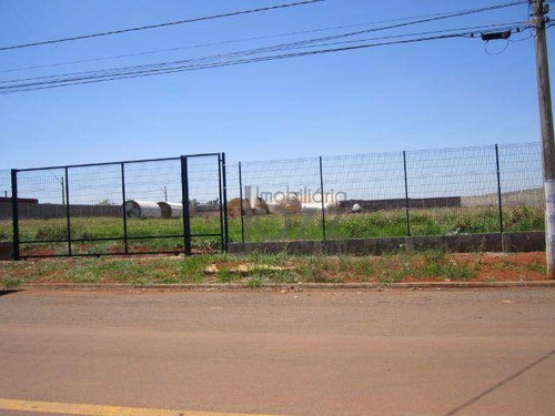 Imagem 1 de 8 de Terreno Residencial À Venda, Betel, Paulínia. - Te0398
