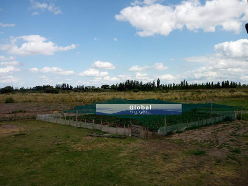 Excelente Finca De 31 Has En San Rafael , Mendoza Zona Vitivinícola Argentina