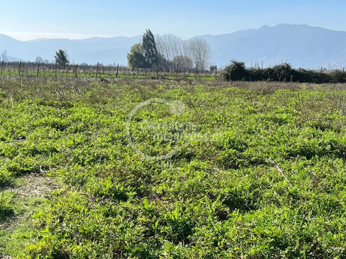 Parcela En Venta En Palmilla