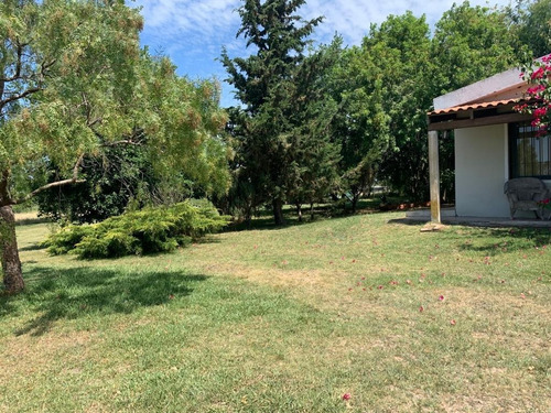 Vendo Muy Linda Chacra Con 3 Casas, 2 Galpones Y Un Parque Arbolado Único!!!!!!!!!!