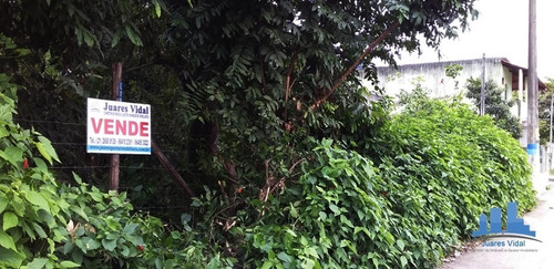 Imagem 2 de 9 de Terreno Plano Com Escritura Na Estrada De Mazomba Em Itaguaí/rj - 313 - 34596787