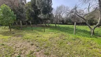 Comprar Gran Terreno Con Dos Casas Una De Dos Y Un Dormitorio,más Terreno Para Construir Varias Casas Más.