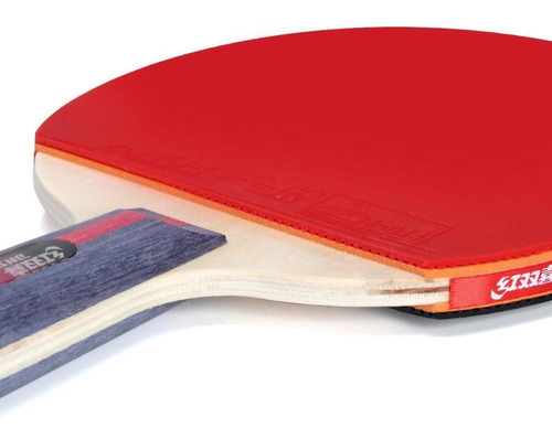 Raquete De Tênis De Mesa Dhs Classineta H2006 Ittf Approved