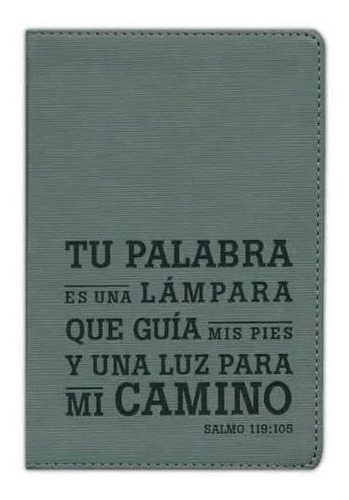 Santa Biblia Ntv, Edicion Compacta Tapa Gris