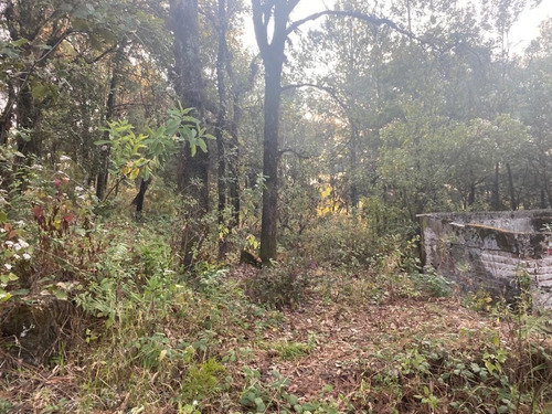 Imagen 5 de 8 de Gran Terreno En Zona Arbolada En Paraje Cuacuametla, Huitzil