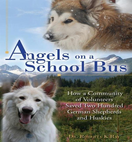 Libro Angels On A School Bus - Dr Roberta K Ray