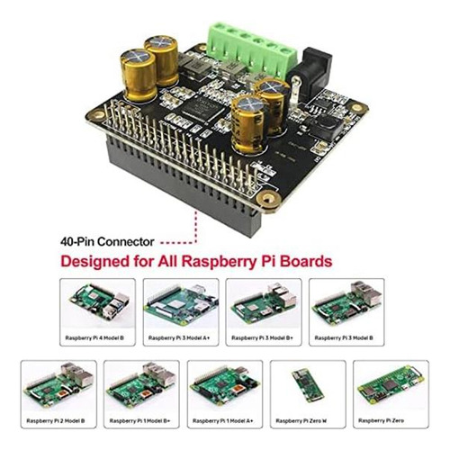 Amplificador De Audio Rpi 2x80w Peak Salida Class D Hifi Amp