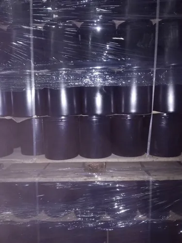 Envase Galón Plástico Nuevos