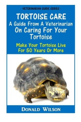 Tortoise Care  A Guide From A Veterinarian On Caring For You