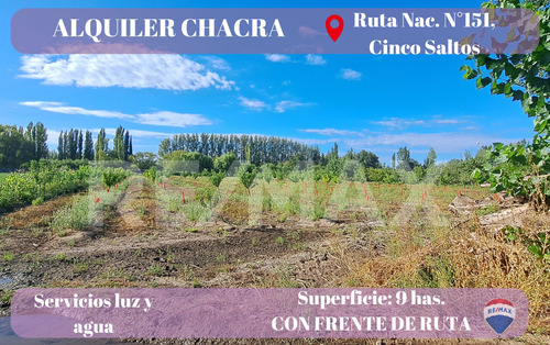 Alquiler Chacra Hasta 9 Has.frente De Ruta N°151