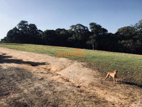 Chácara Com 3 Dorms, Olaria, Itapecerica Da Serra - R$ 4 Mi, Cod: 4351 - V4351