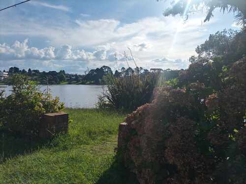 Area No Recreio Da Serra, Próximo De Curitiba