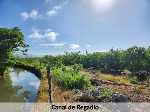 Campo Nogales Productivo Oportunidad
