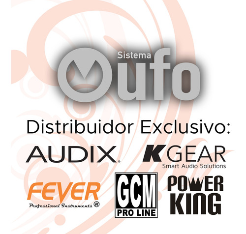 Parlante / Altavoz 12 Pulgadas 300w 8omhs Alta Potencia