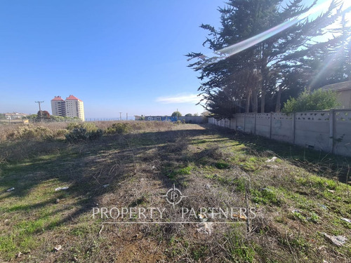 Algarrobo, Lote De 6 Sitios, Ideal Para Construcci...