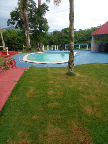 Vendo Esta Finca De 11 Tares En Bayaguana De Monte Plata