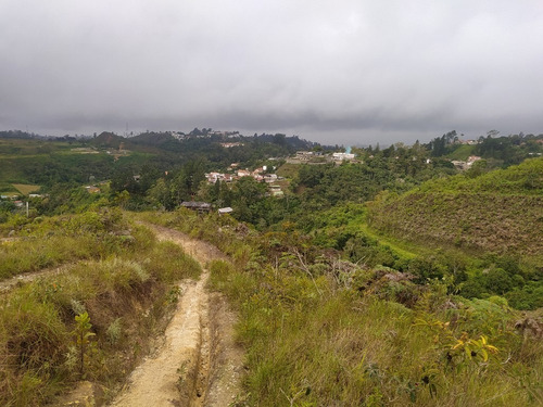Imagen 5 de 10 de Venta De Terreno En San Antonio De Los Altos (j.s 20m)
