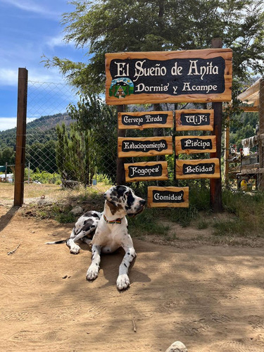 Hermoso Camping Con Complejo De Dormís Y Piscina