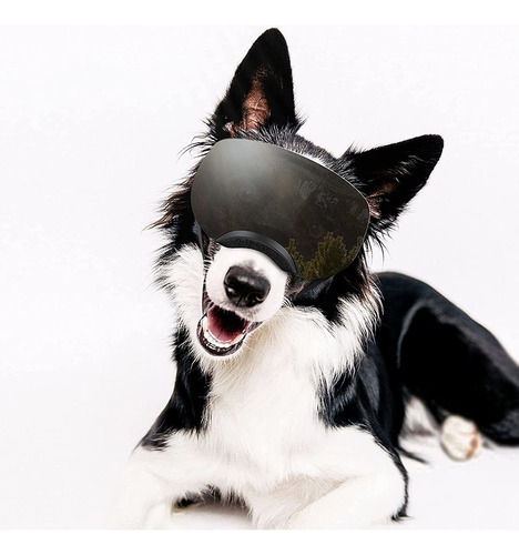 Lentes De Protección Uv Para Perro Grande