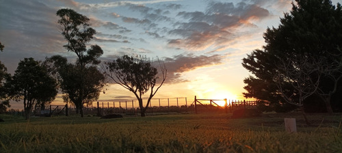 Venta De Campo Resolución Inmediata. Nuevo Precio.