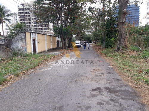 Imagem 11 de 12 de Recreio Dos Bandeirantes - Av Das Amercas - Vendo / Alugo Terreno Com 1.290 M² Valor R$3.500.000 E Aluguel R$18mil. - Mix0001l - 31975593