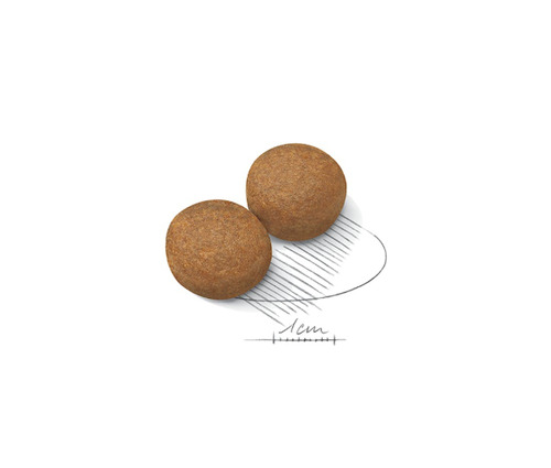 Alimento Royal Canin Maxi Adult Sabor Mix 15 Kg - Seco
