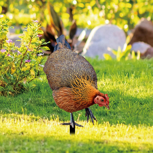 Letrero De Gallina Para Jardín, Escultura Realista De A