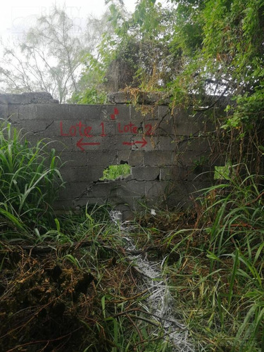 Imagen 5 de 11 de Terreno - Palo Blanco