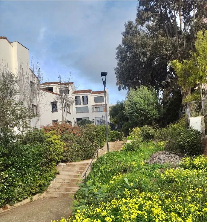 Imagen 3 de 10 de Los Sargazos Jardín Del Mar, 2d 2b, 59m2