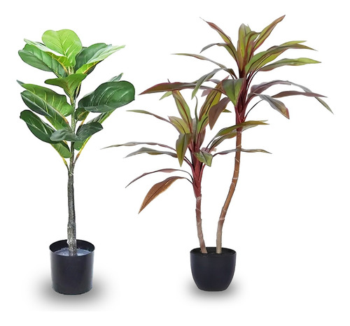 Planta Artificial Ficus 74 Cm + Cordyline Planta Alta 90 Cm 