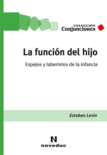 Funcion Del Hijo, La - Espejos Y Laberintos De La Infancia -